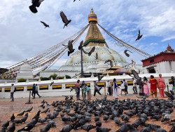 Bouddhanath Committee warns action against ticketless trespassers